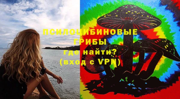 спиды Алзамай