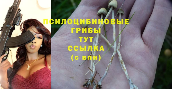 прущая мука Алексеевка