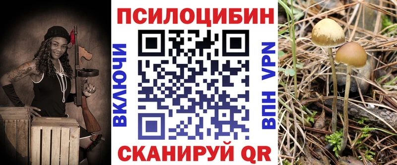 Галлюциногенные грибы Cubensis  МЕГА ссылки  Бодайбо 