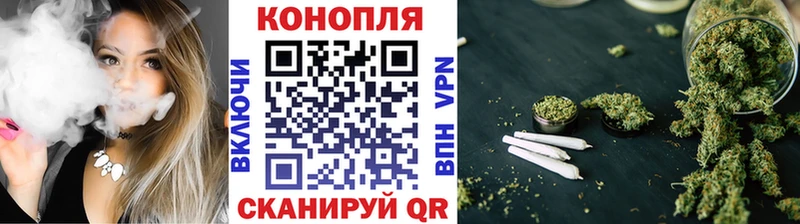 Канабис семена  где продают наркотики  Бодайбо 
